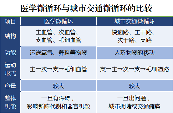 圖6 醫(yī)學(xué)微循環(huán)與城市交通微循環(huán)比較